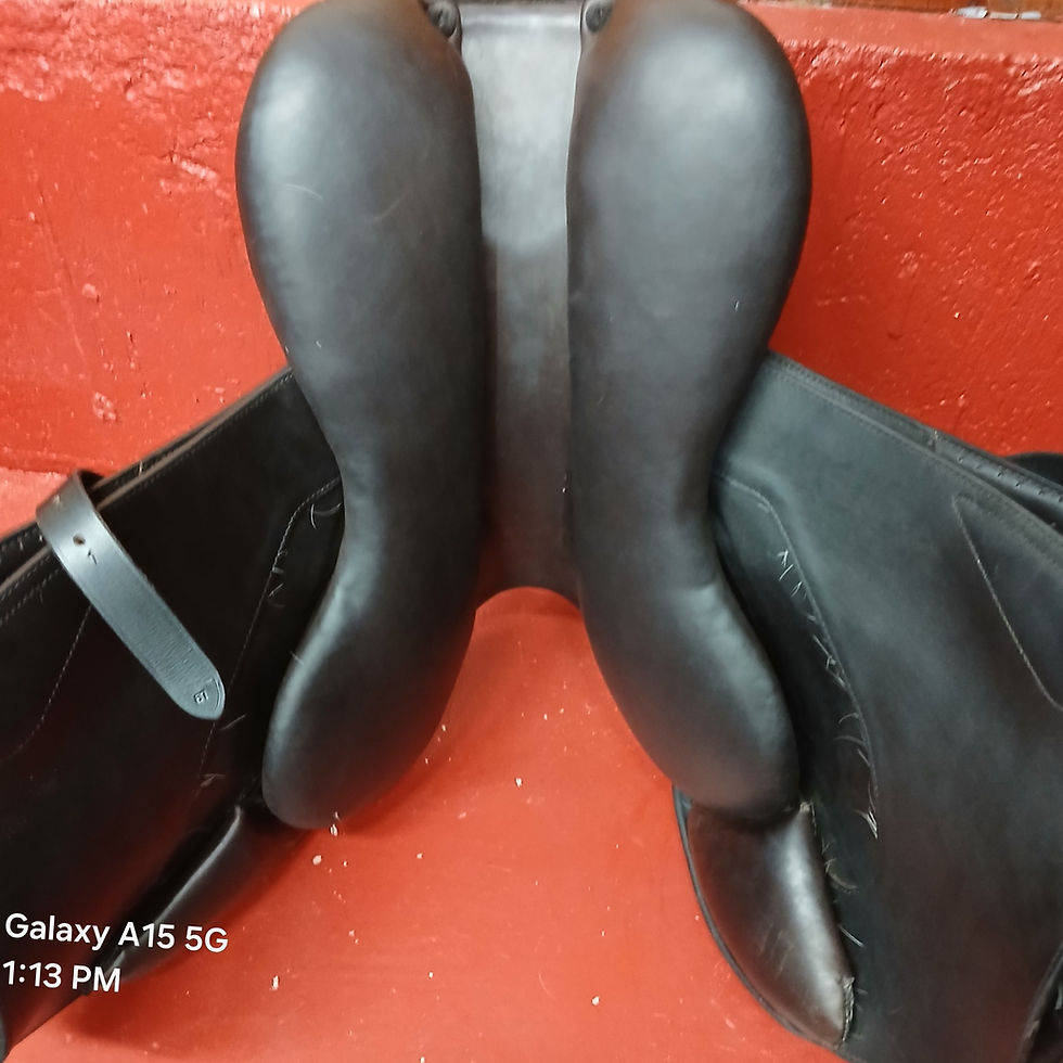 Thumbnail: SOLD Erreplus Jflat Jump, 17", MW
