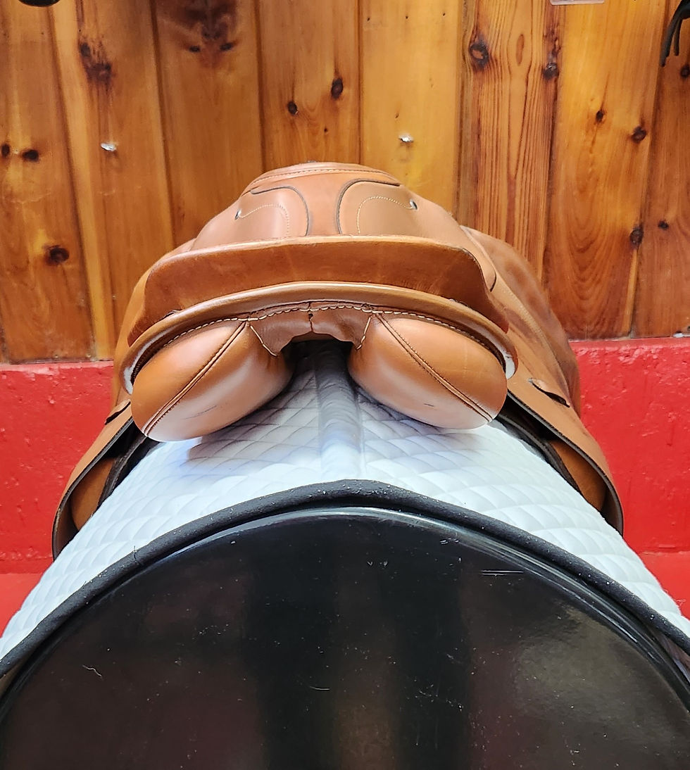 Thumbnail: SOLD Passier Precision Jump, 16.5", wide