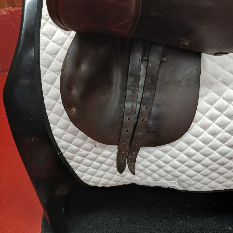Thumbnail: SOLD Beval Jump , 15.5" , Medium