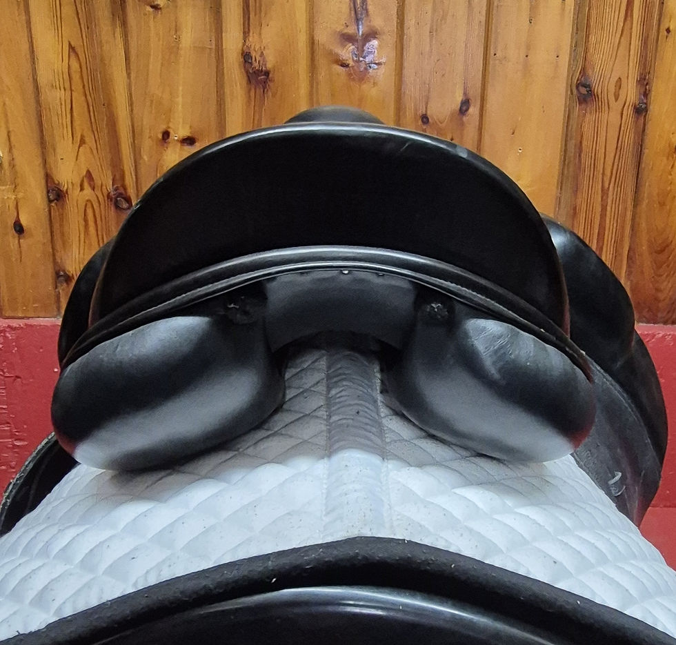 Thumbnail: Verhan Odyssey One 2010, 17", MW