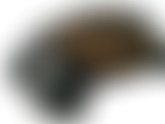あけましておめでとうございます