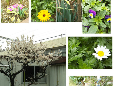花・花・花・・・