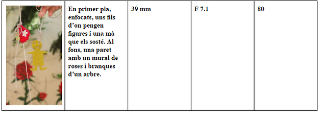 TAULA2.png