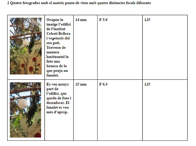 TAULA3.png