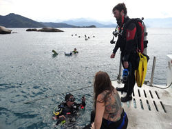 Diving College Escola de Mergulho (42).jpg