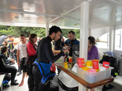 Diving College Escola de Mergulho (15).jpg