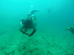 Diving College Escola de Mergulho (6).jpg