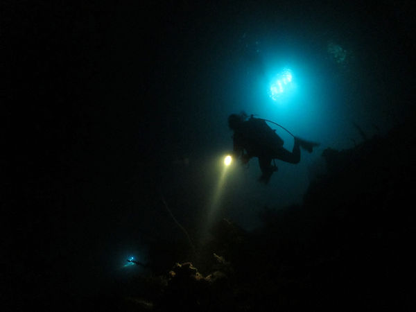 padi night.jpeg