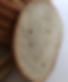 Paramount bread 1