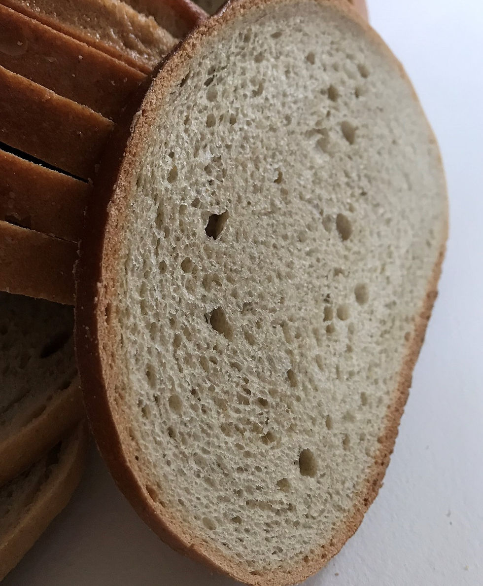 Rye
