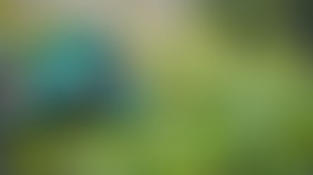 Tööpakkumisi on suviseks hooajaks just aias või pargis tegutsejatele