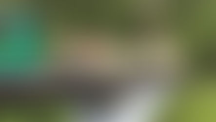 Avinurme kitsarööpmelise raudtee taastamise nimel on kohalikud tegutsenud 25 aastat, praeguseks on kunagisest raudteest taastatud kilomeetrine lõik, raudteesild, veerem ja ootepaviljon. Fotomeenutus mullusest laulupeotule teekonnast, kus üheks tegelaseks oli muuseumirong.