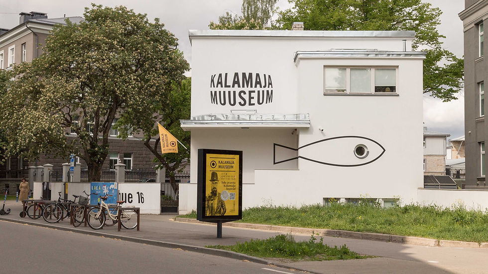 Muuseumi logo valiti rahvahääletusega, enim hääli sai uudishimulik kalasilm