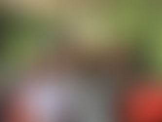 Avinurme muuseumirong sõitis taastatud kilomeetrisel lõigul koos külalistega ka laupäeval
