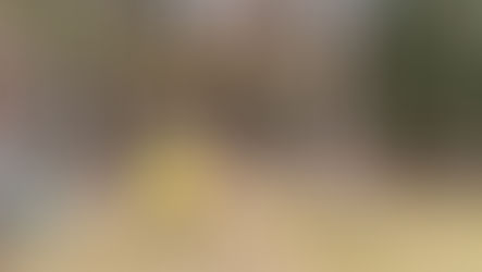Annika Oras kutsub laupäeval Kääpale, tutvuda saab seikluspargi madalseiklusrajaga
