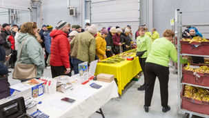 Seemnefestivalil sooviti enim osta seemnekartulit