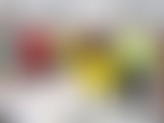 Seemnefestivalil sooviti enim osta seemnekartulit