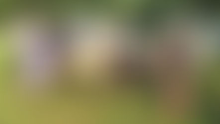 Fotomeenutus mulluselt Peipsi Toidu Tänavalt