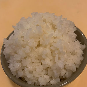 Sushi Rice