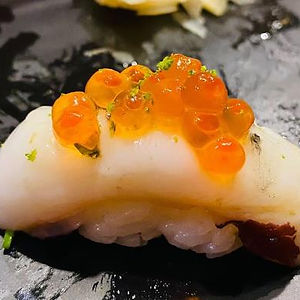 Octopus Tako