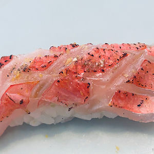 GoldenEyeSnapper Kinmedai