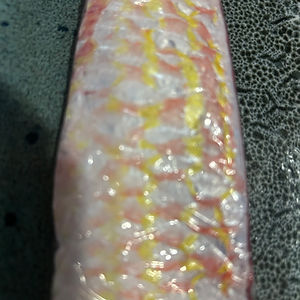 Threadfin bream Itoyoridai