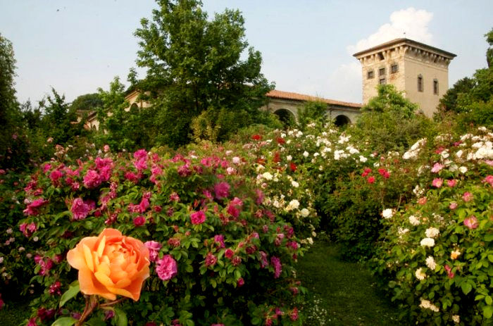 Riaprono i Giardini di Castello Quistini in Franciacorta: Un Paradiso di Rose tra le Vigne