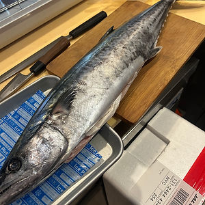 Spanish Mackerel Sawara