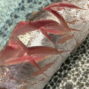 Horse Mackerel Aji