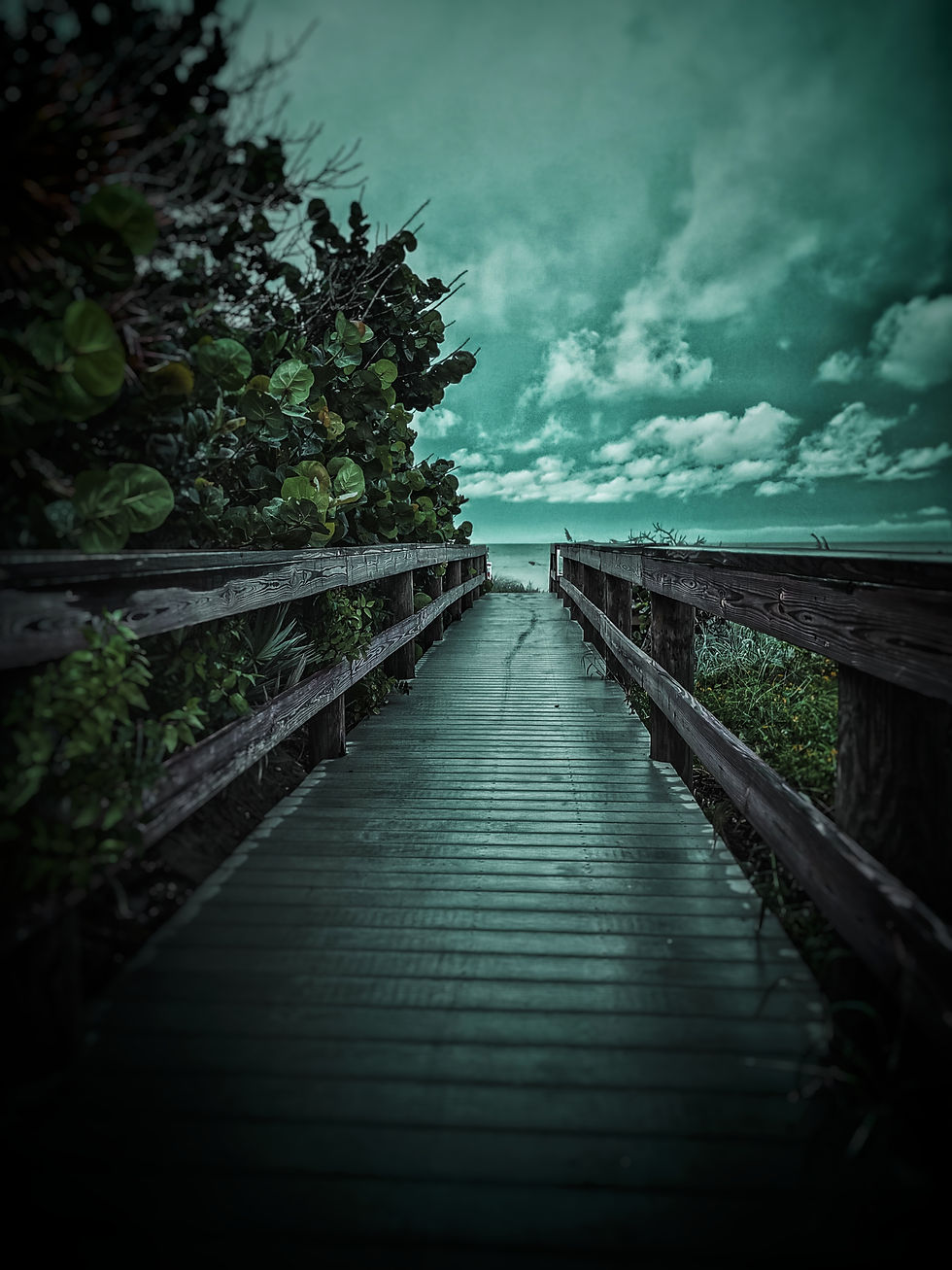 Melbourne Florida Space Coast Brevard County Digital Marketing Agency