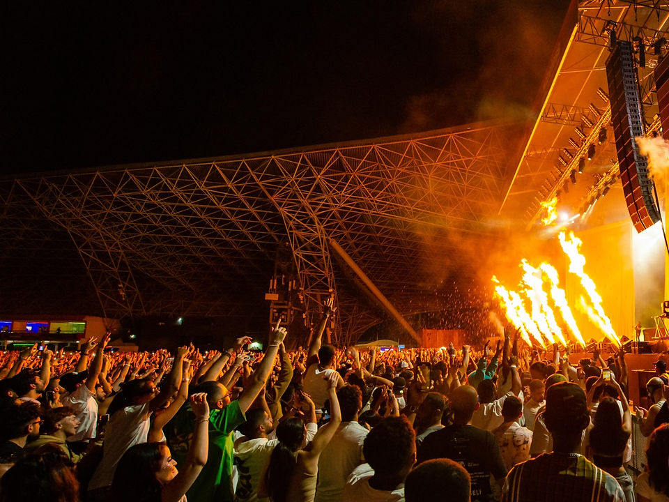 Crowd in front of stage as fire pyrotechnics go off