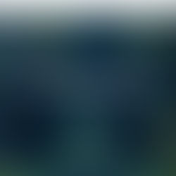 【サイトオープン】BotanicalQuest(ボタニカルクエスト)