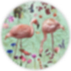 Thumbnail: Cirkel Audubon  meerdere kleuren