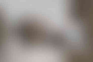 NOW_8753 Without Window