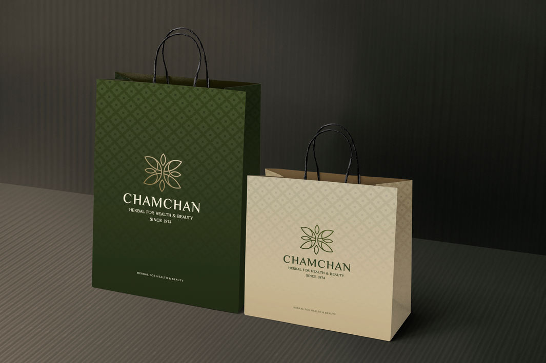 paper bag-big logo.jpg