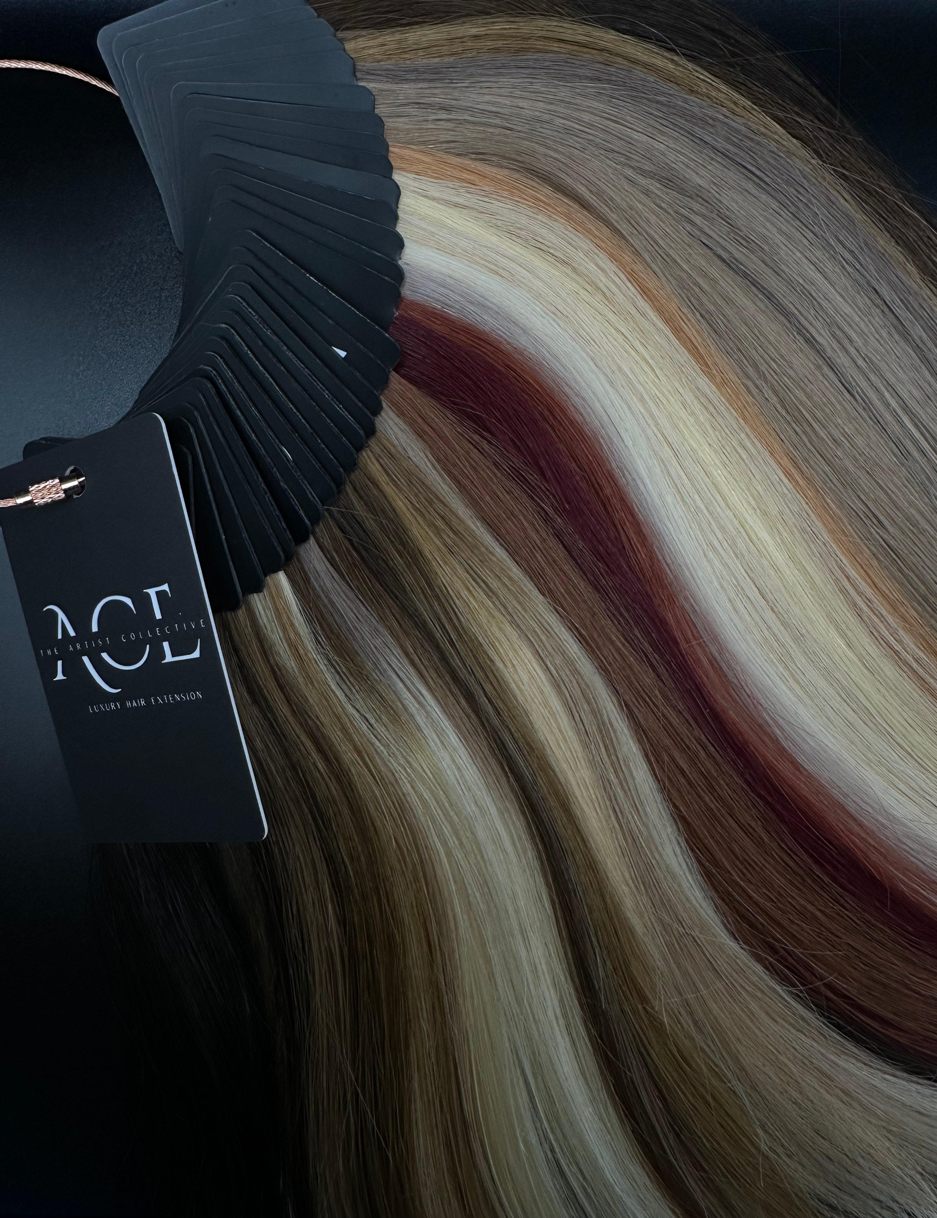 The Artist Collective Color Ring