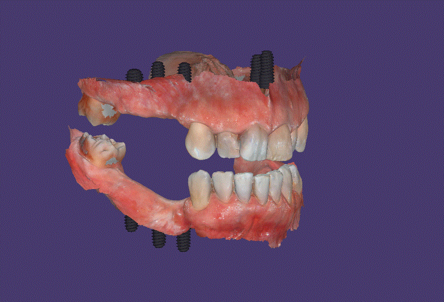 8.GIF