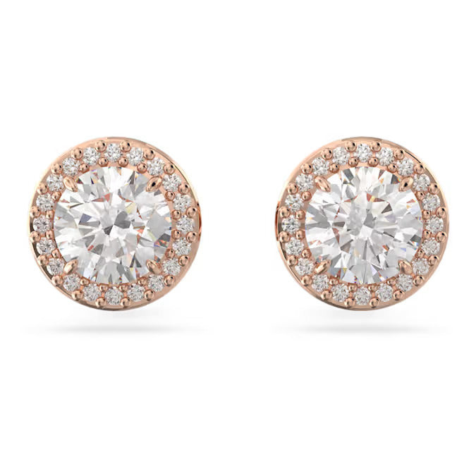 Swarovski Orecchini a Lobo Una Angelic | Oro Rosa/Zirconia | Effetto Pavé