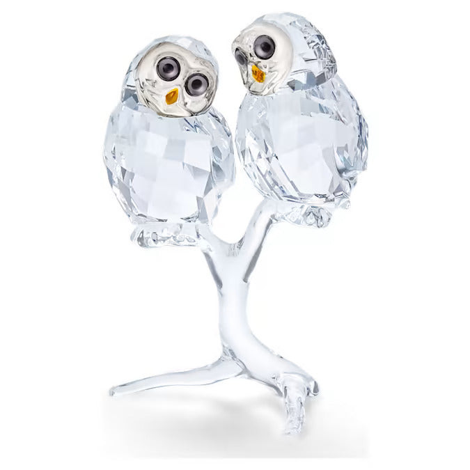 Swarovski Statuine Coppia di Gufi | Clear Crystal | 390 Sfaccettature