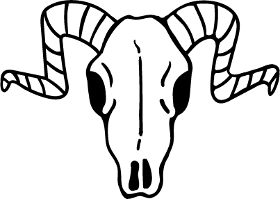 bull skull