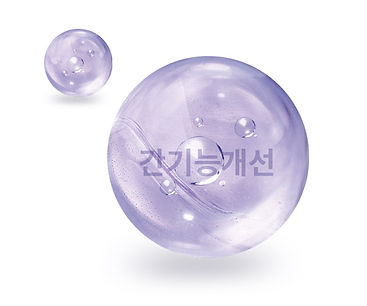 간기능.jpg