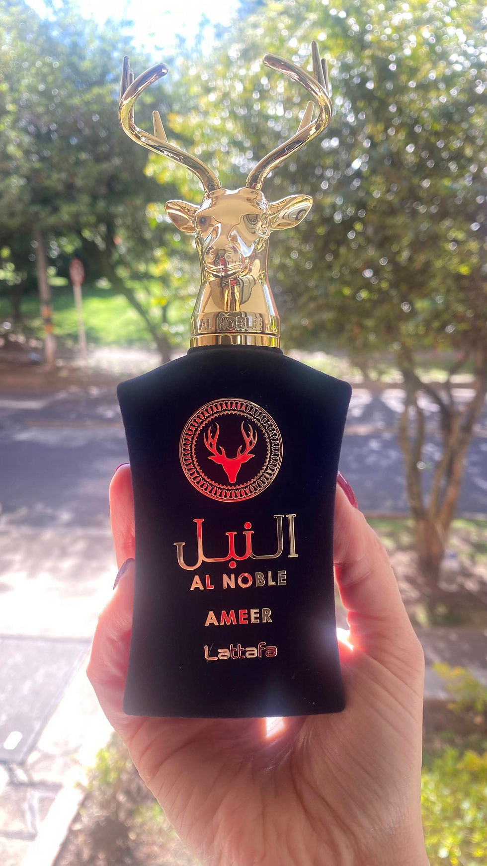 PERFUME LATTAFA AL NOBLE AMEER - EAU DE PARFUM - 100ML - HOMBRE