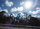 02755_Summer is Calling_Florida Road Trip_Sun_Sky_Trees_by Anastasia V. Silva_The New Romantic Renaissance (by AVS)