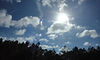 02762_Summer is Calling_Florida Road Trip_Sun and Trees_by Anastasia V. Silva_The New Romantic Renaissance (by AVS)