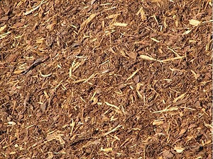 pine_mulch.jpeg