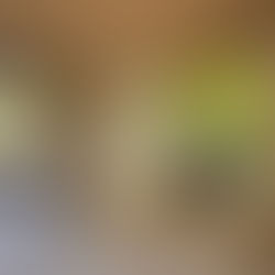 葉山にある加地邸のエントランスにある手水鉢