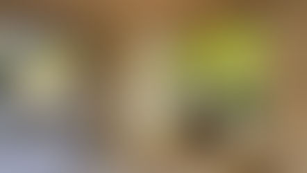 葉山にある加地邸のエントランスにある手水鉢