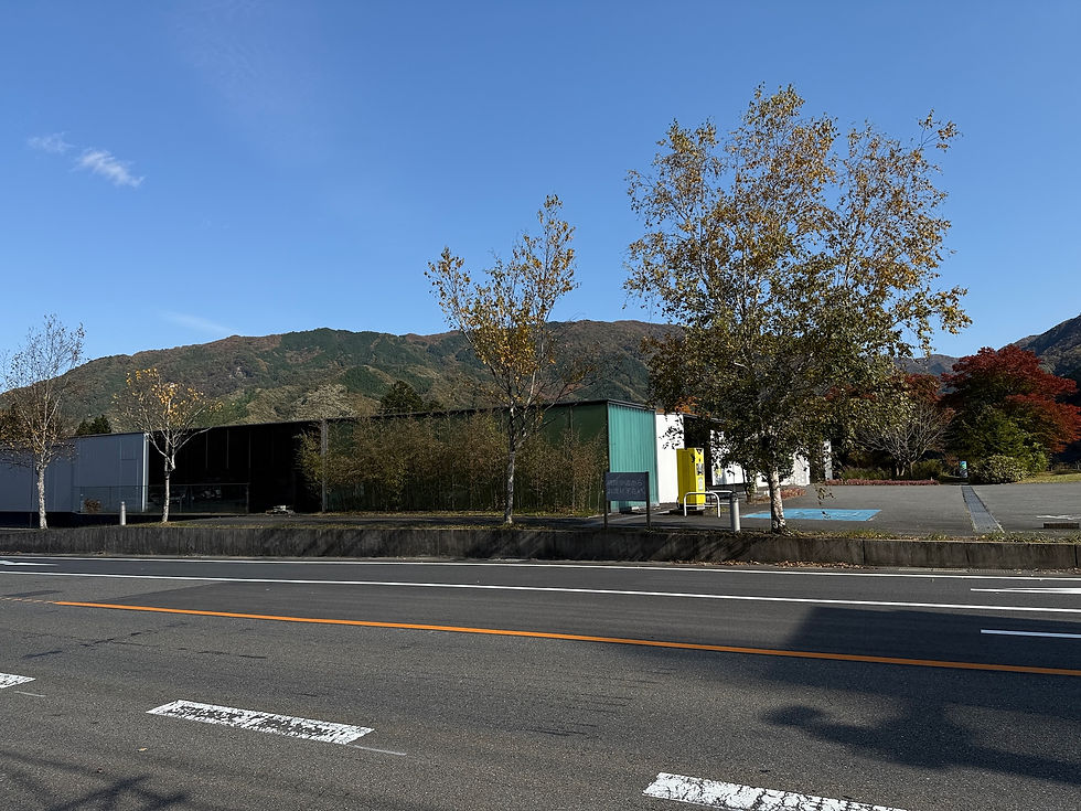 道路側から鏡面の外壁を見たところ