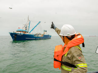TASA invita a emprendedores a participar del “Desafío Kunan 2021”en la categoría Economía Circular