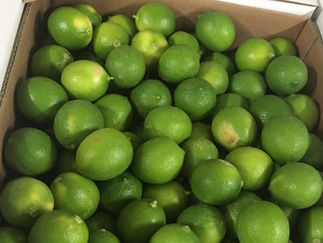 Investigadores producirán líquido que alarga el tiempo de vida de limones y mandarinas